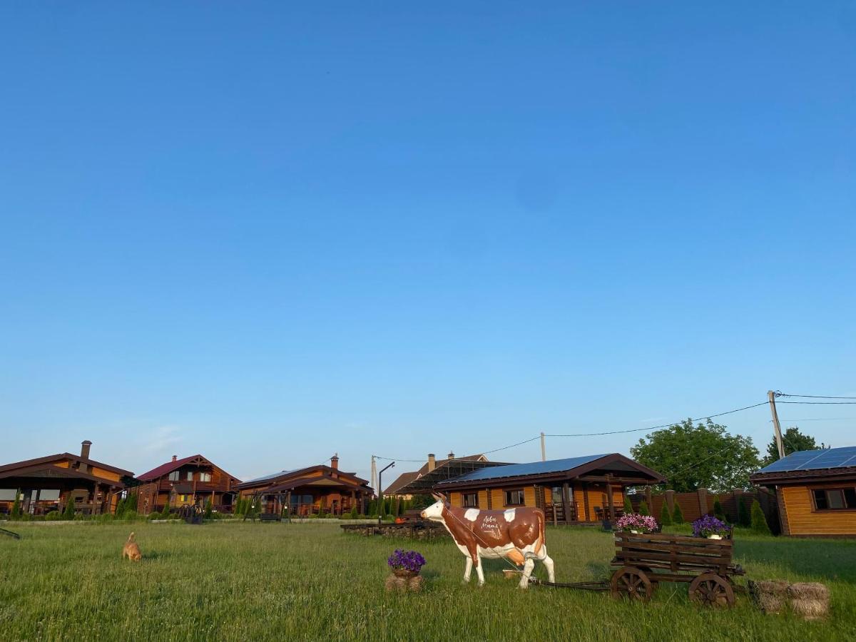 Хомене Villa Rzhyshchiv Ngoại thất bức ảnh
